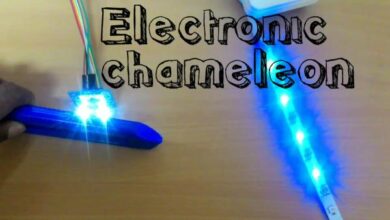 Photo of Electronic Chameleon